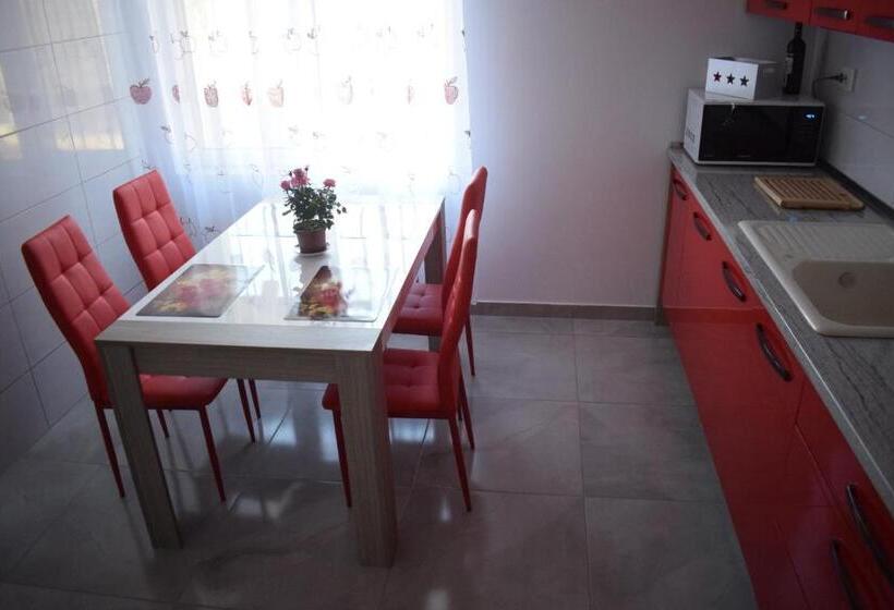 פנסיון Casa Dumitru