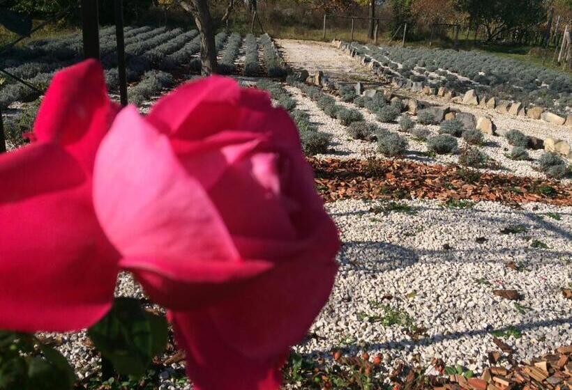 ペンション Villa Aromatique