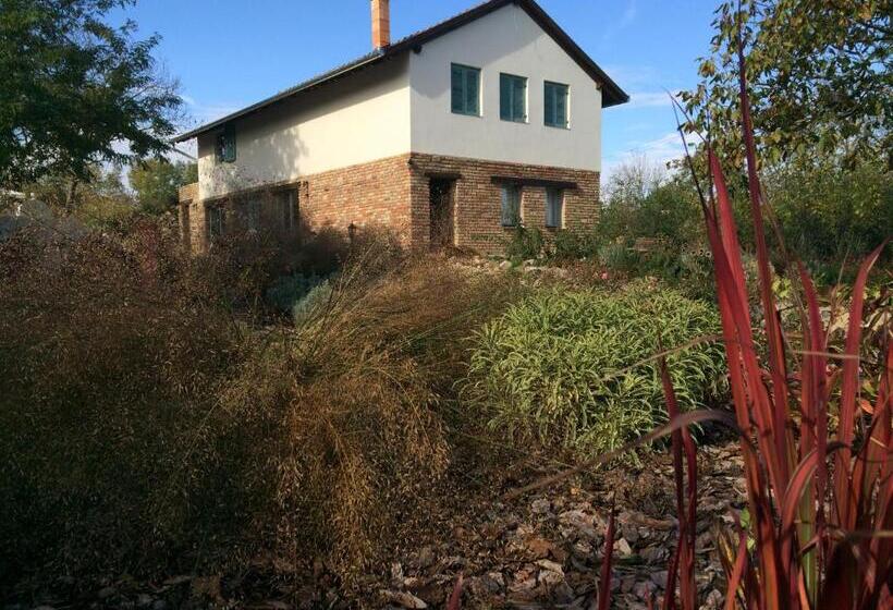 ペンション Villa Aromatique