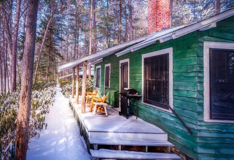 بنسيون White Pine Camp