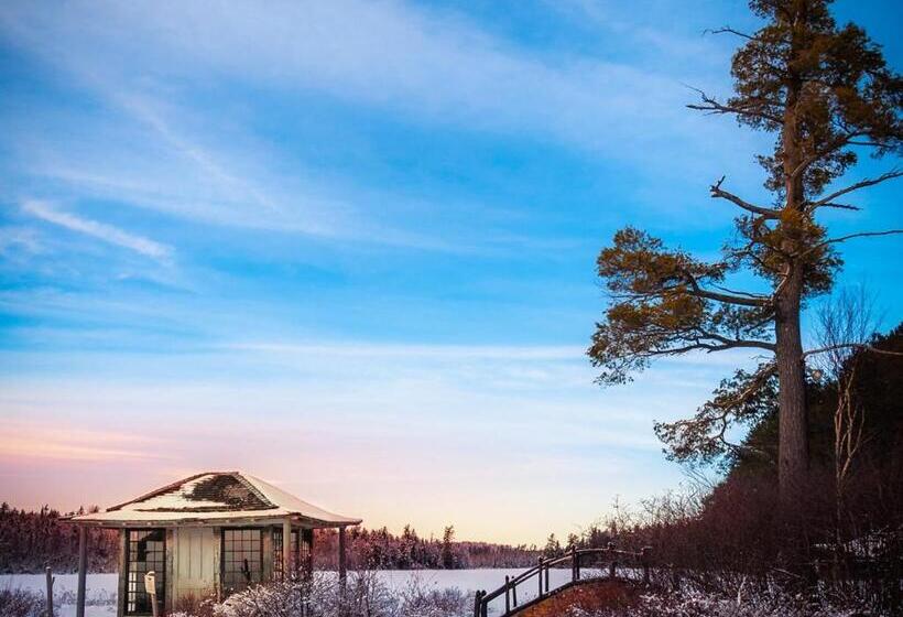 بنسيون White Pine Camp