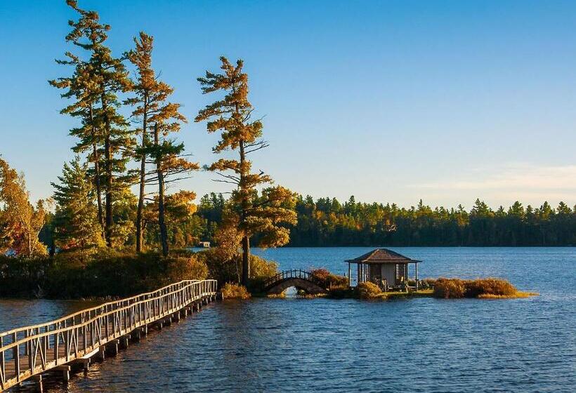 بنسيون White Pine Camp