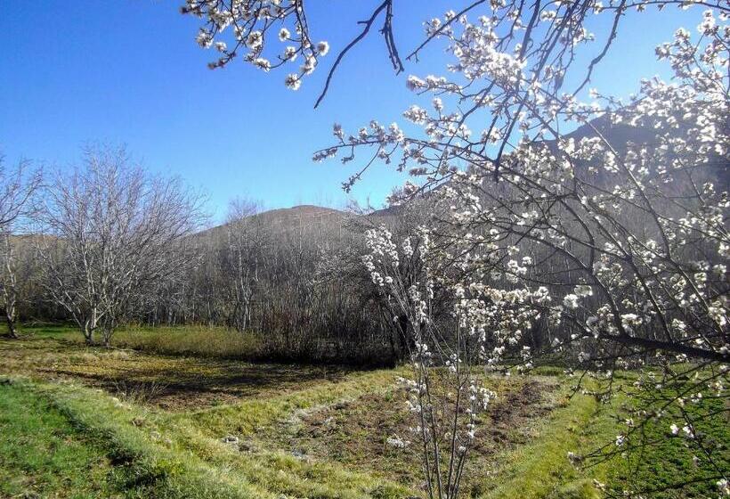 Пансион Zen Ecolodge