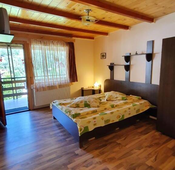 Pensiunea Casa Soarelui