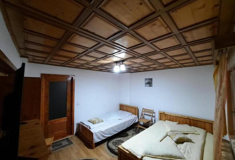 Pensiunea Casa Soarelui