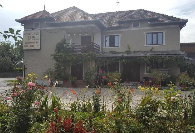 Pensiunea Elis