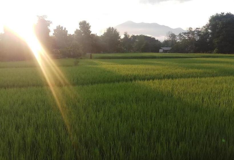 リゾートホテル Chill House Mae Sariang