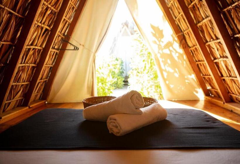 ユースホステル Porã Chacahua