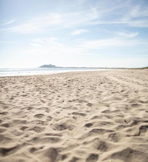 ユースホステル Porã Chacahua