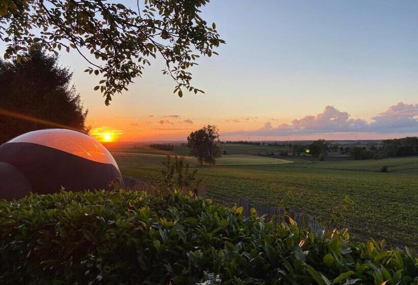 住宿加早餐  Bulle D Evasion Silly Près De Pairi Daiza