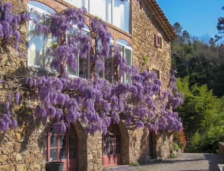 ベッドアンドブレックファースト Chambre D Hôte Mas D Alzon à St Jean Du Pin