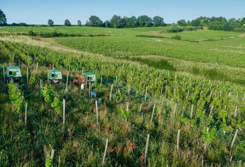 ベッドアンドブレックファースト Chambre D Hôte Près Bordeaux Au Château Camponac