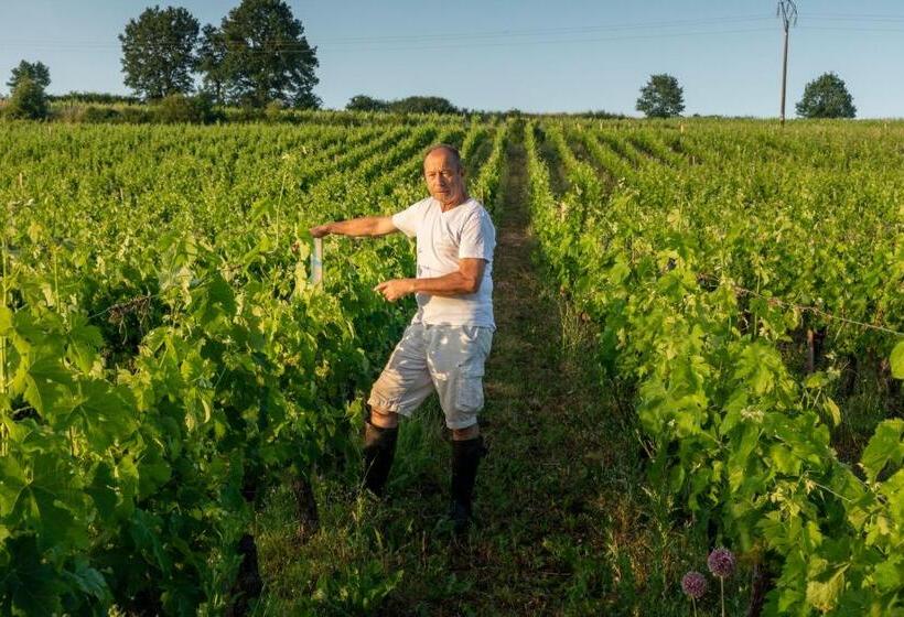 민박 Chambre D Hôte Près Bordeaux Au Château Camponac