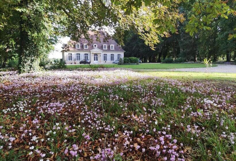 ベッドアンドブレックファースト Chambre Sixties