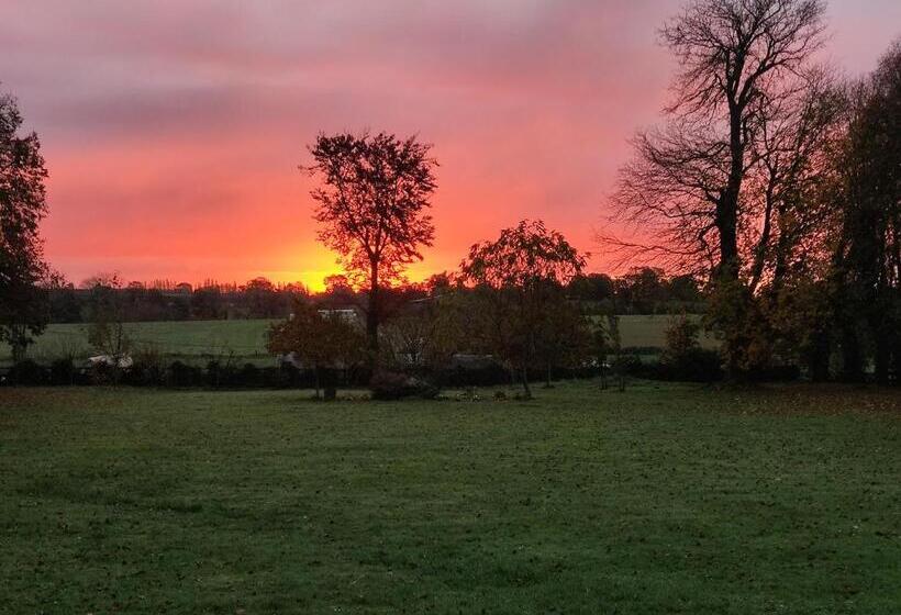 ベッドアンドブレックファースト Chambre Sixties