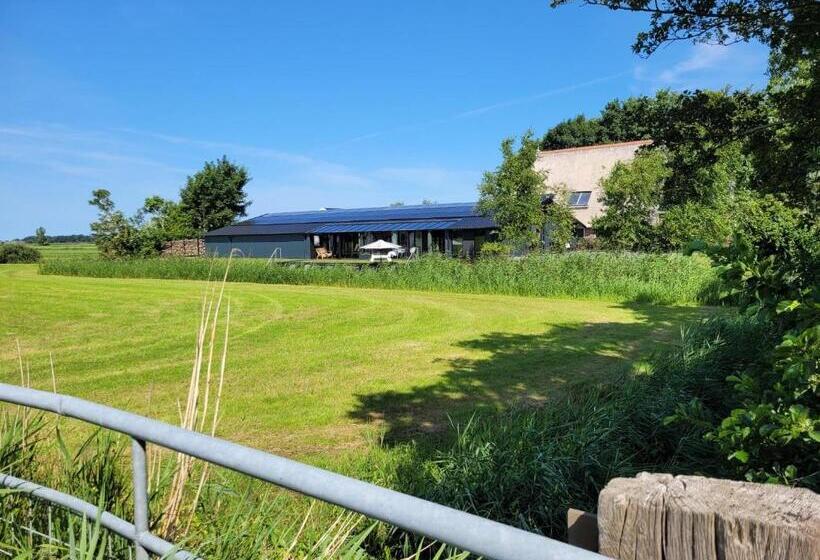 Bed and Breakfast Hippe Schuur