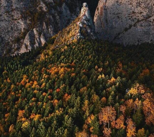 ベッドアンドブレックファースト Kanyon Park Otel Ve Restaurant