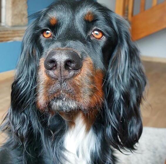 住宿加早餐  La Lézardière