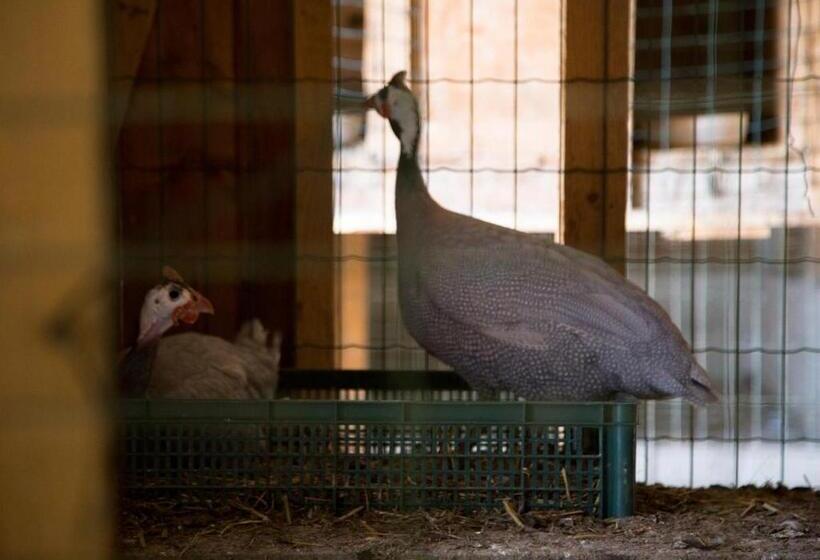 酒店 Agriturismo Il Borgo