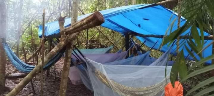 فندق Amazon Gero Tours