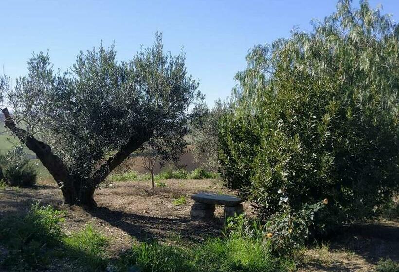 בית מלון כפרי Masseria Baglio Perciata