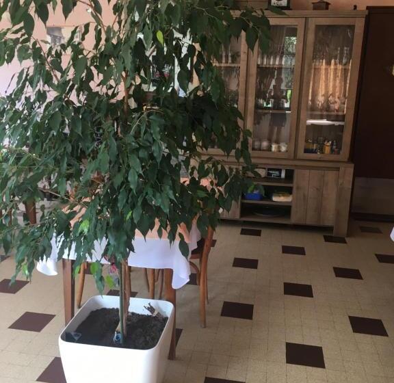 בית מלון כפרי Mazin