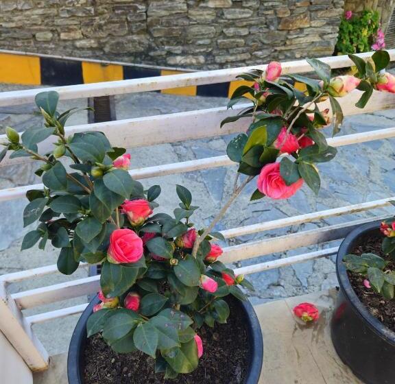 בית מלון כפרי Red Apple Near Railway Station Chandigarh