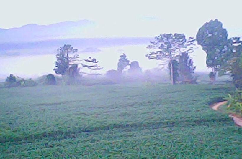 بنسيون อุสาวิวรีสอร์ท