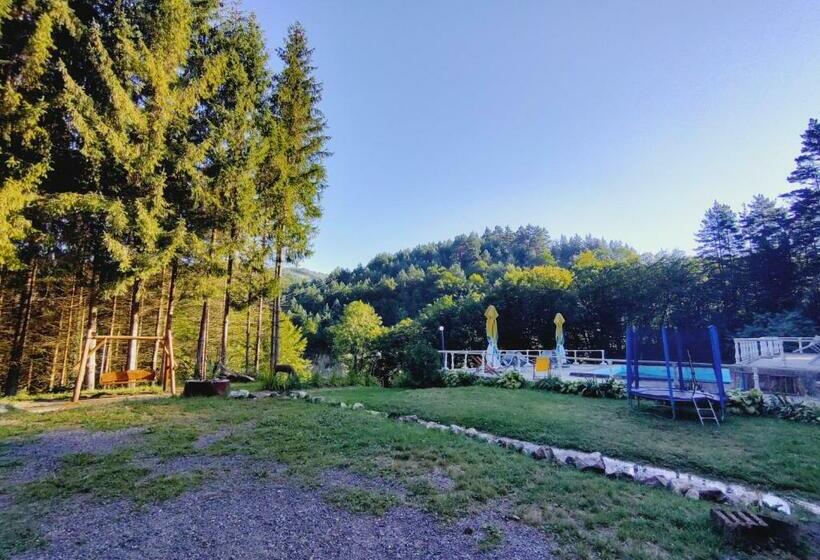 Пансион Cabana Cerbu