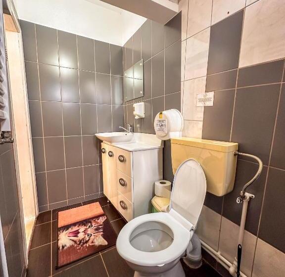 פנסיון Perla Brazilor