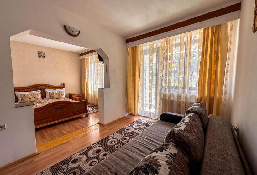 פנסיון Perla Brazilor