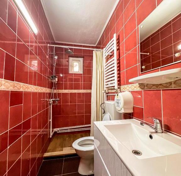 פנסיון Perla Brazilor