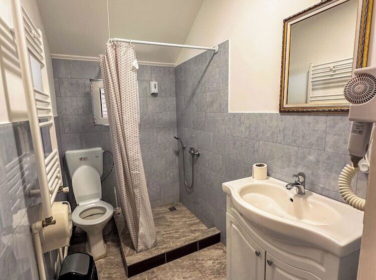 פנסיון Perla Brazilor