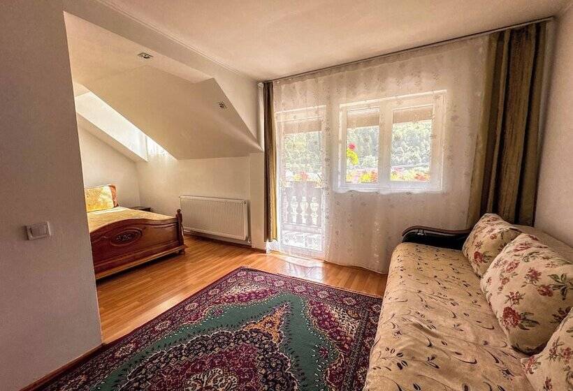 פנסיון Perla Brazilor