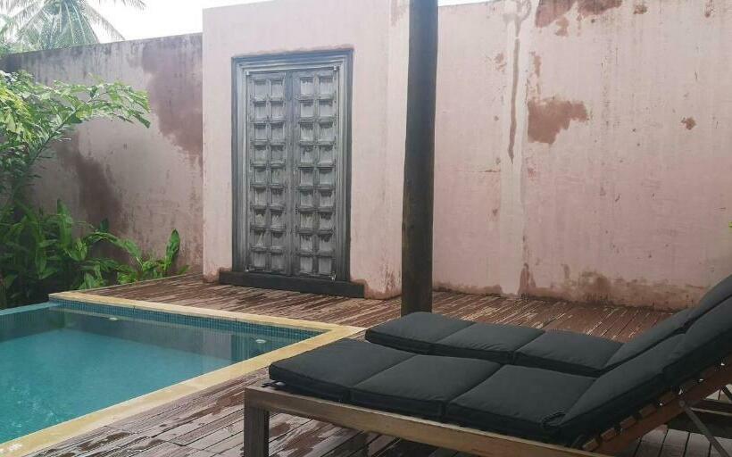 ペンション Room In Villa   This Is A Fantastic Honeymoon Exotic Villa 3 No Pet