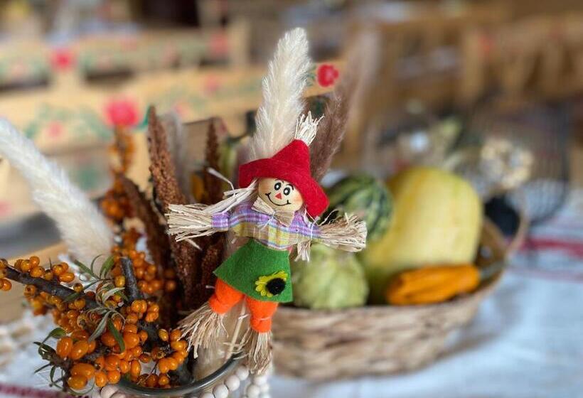 ペンション Székelyföld,siklódi Kő Vendégház, Csűr