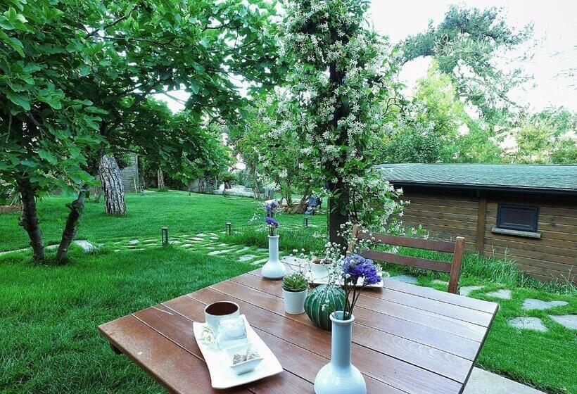 Triada Hotel Buyukada