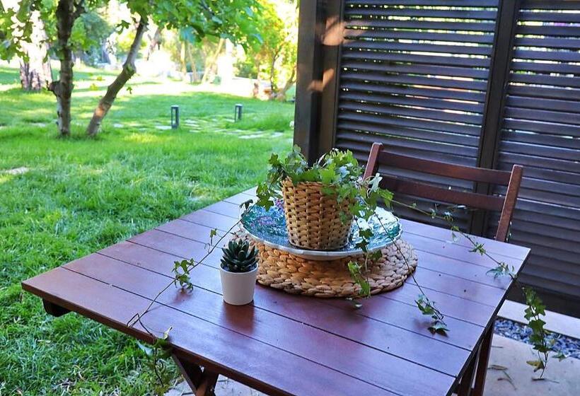 Triada Hotel Buyukada