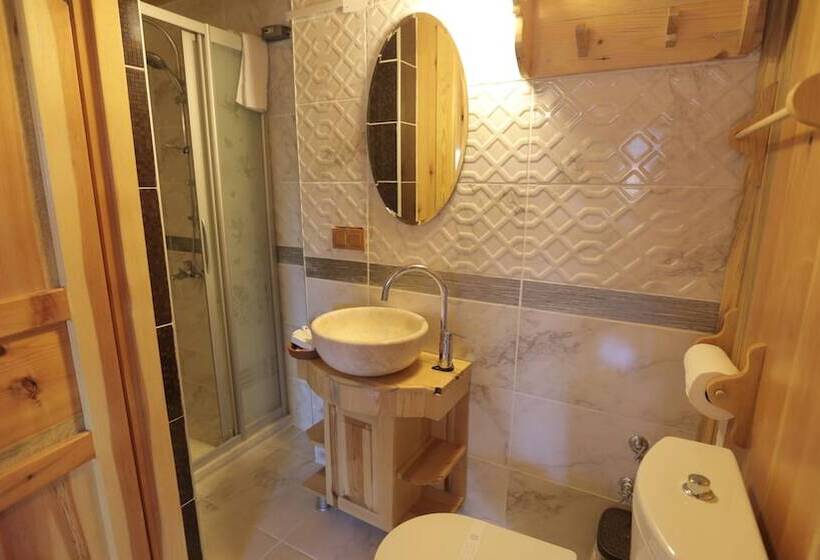 Отель Aphrodisias Dandalos