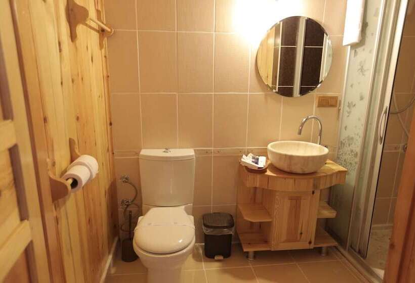 Отель Aphrodisias Dandalos