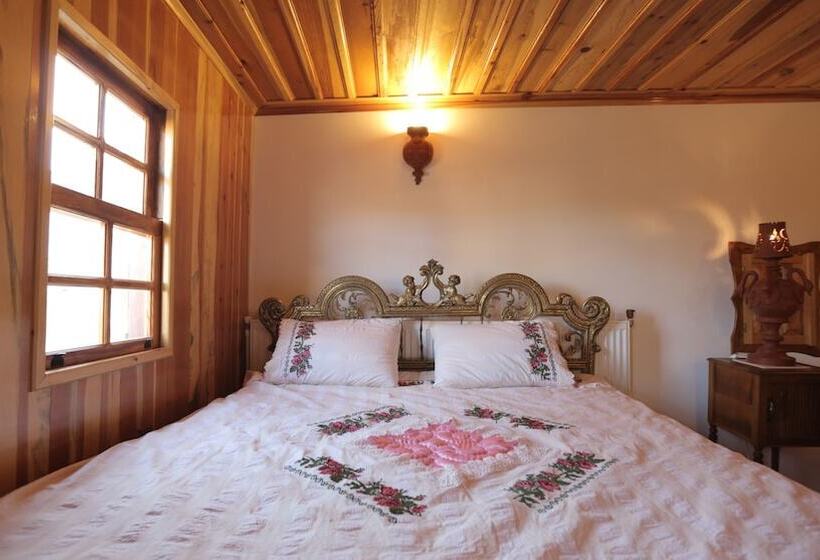 Отель Aphrodisias Dandalos