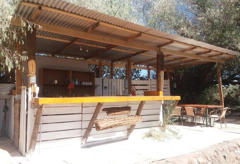 酒店 Atacama Loft & Glamp
