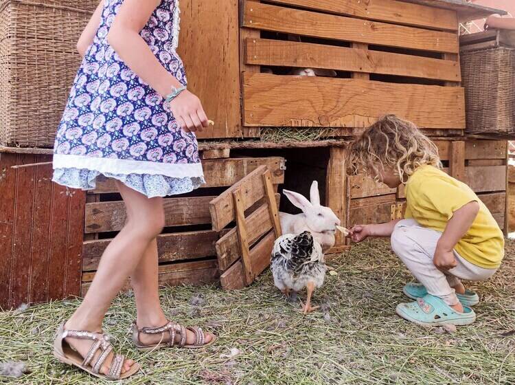 酒店 Atacama Loft & Glamp