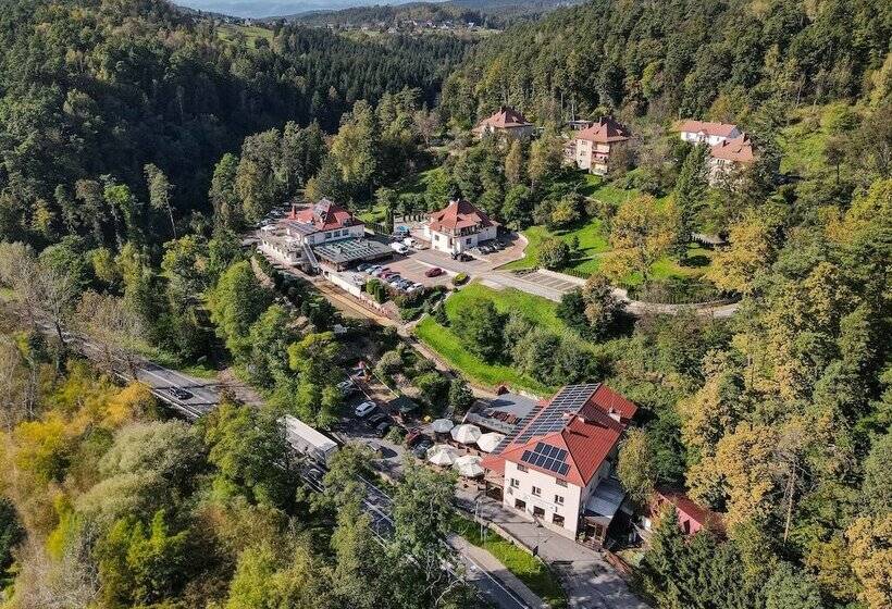 בית מלון כפרי łaziska