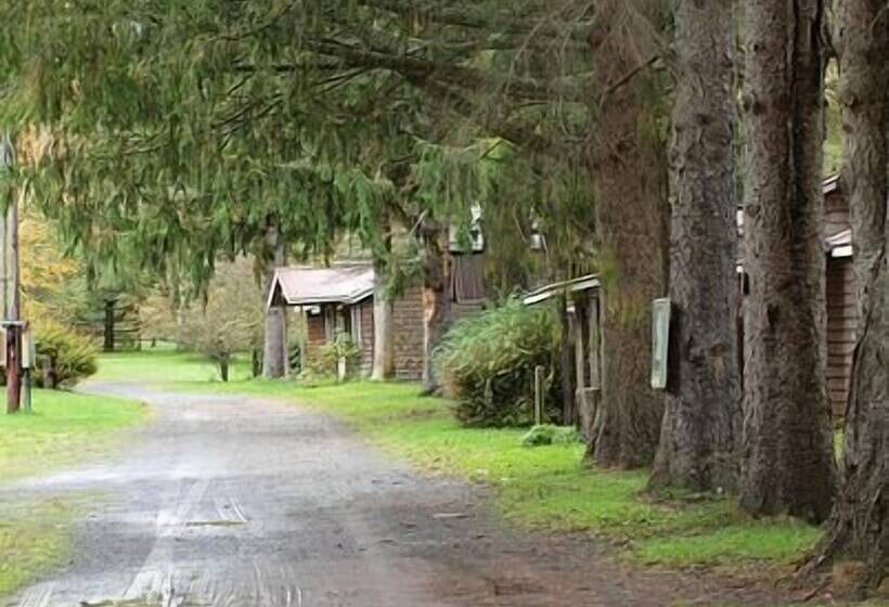 فندق Cold Spring Lodge