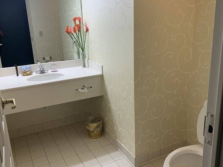 Отель French Quarter Inn