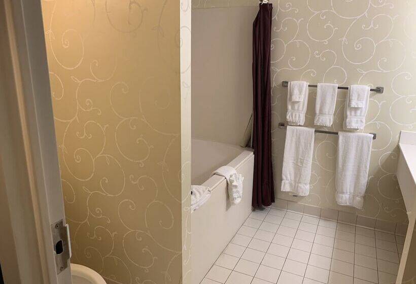 Отель French Quarter Inn