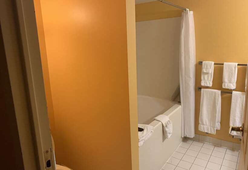 Отель French Quarter Inn