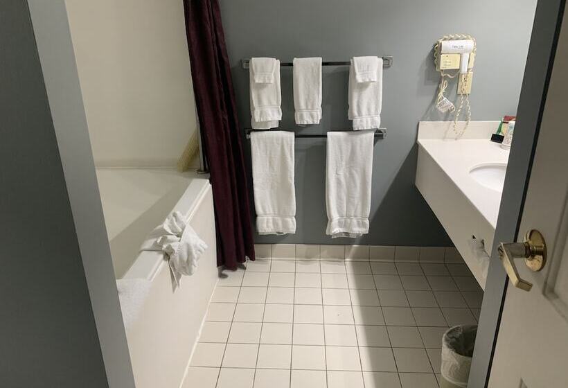 Отель French Quarter Inn