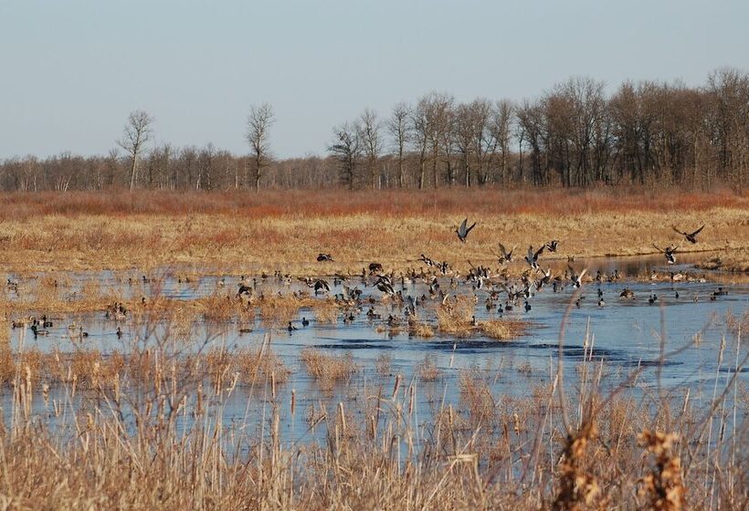 فندق Grantsburg Inn